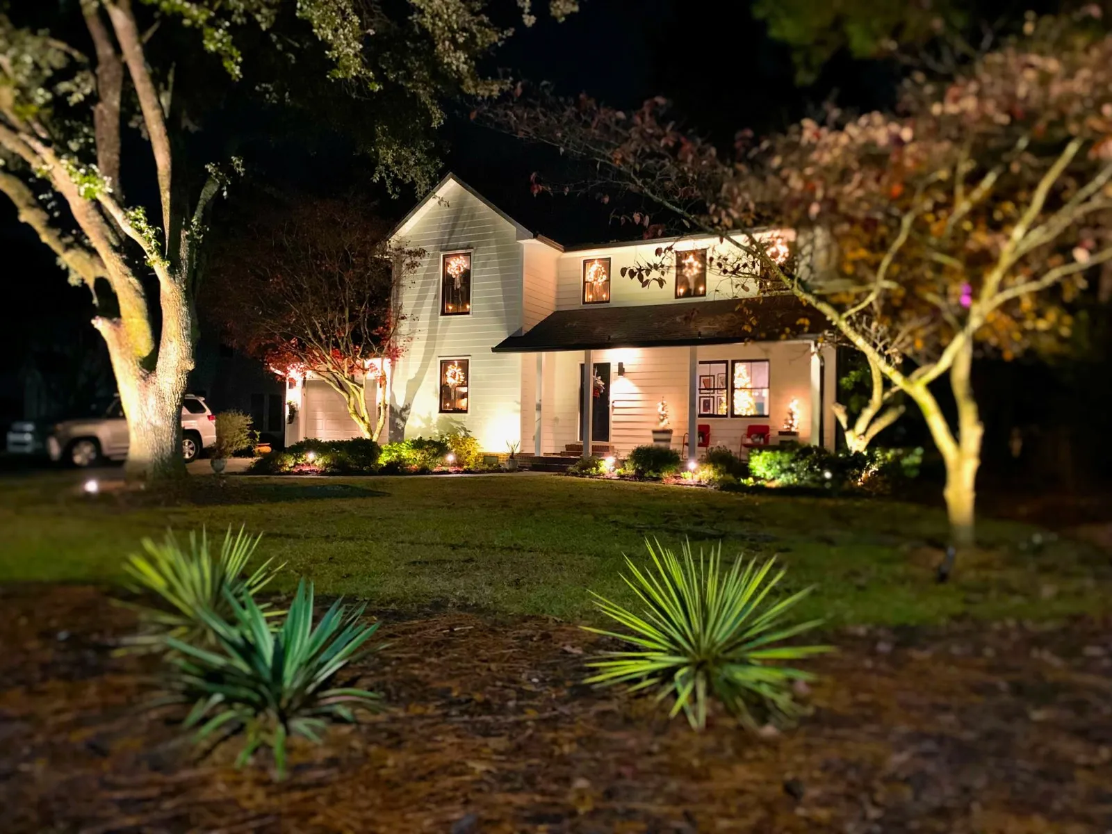 Tree uplighting with landscape accents Fayetteville NC